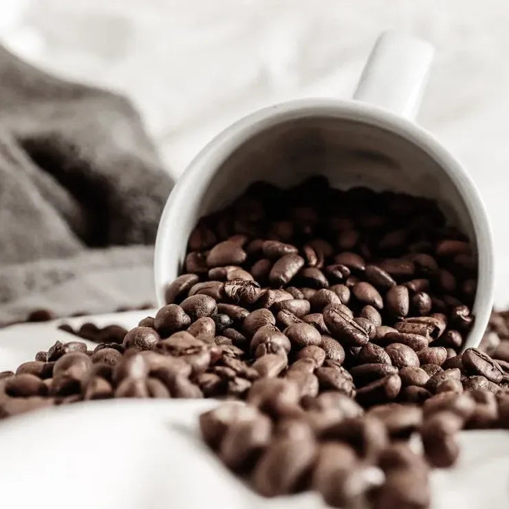 Our coffee collection